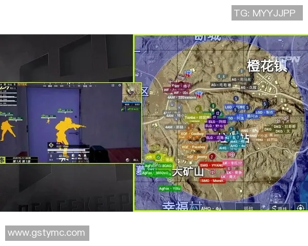 和平精英战术排行榜最新更新TES战队荣登第八位引发关注