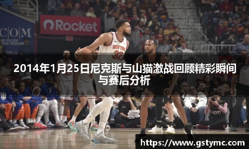 2014年1月25日尼克斯与山猫激战回顾精彩瞬间与赛后分析